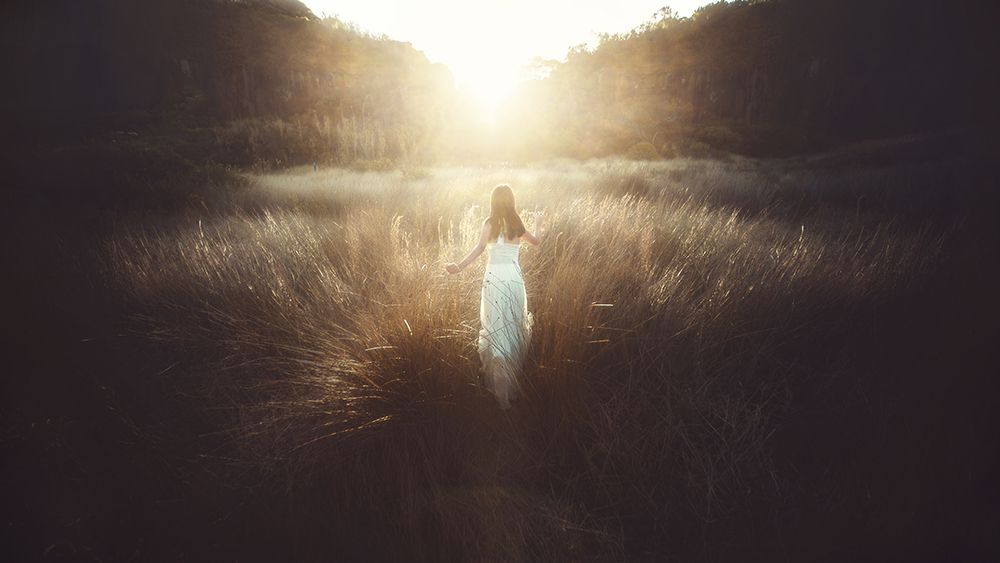 Chase the Sun art print by Terry F. for $57.95 CAD
