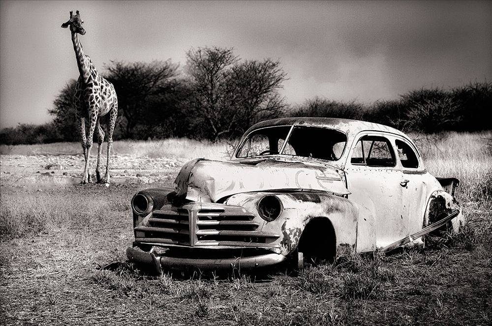 Acquaintance art print by Marc Apers for $57.95 CAD