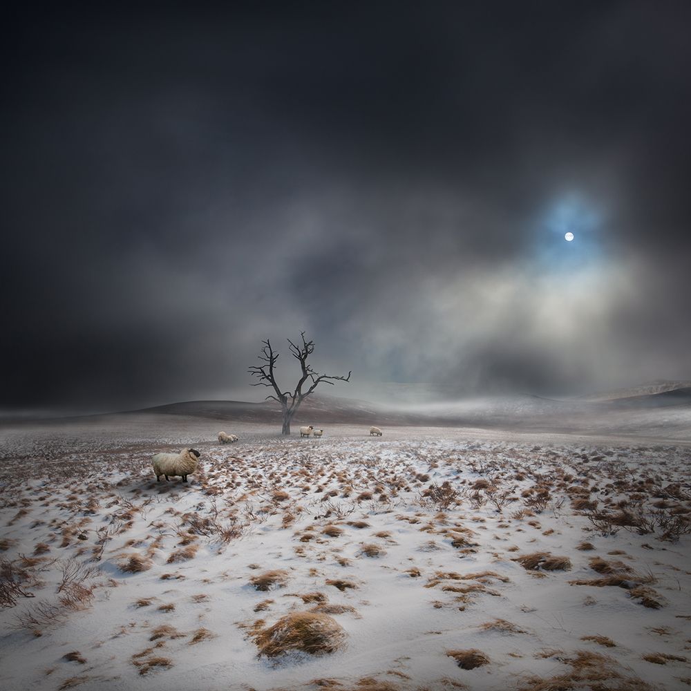 The Land OF The Midnight Sun art print by Martin Marcisovsky for $57.95 CAD