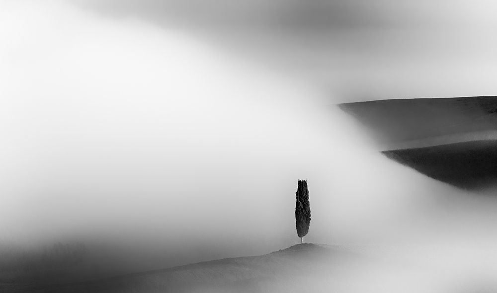Foggy Morning art print by Jure Kravanja for $57.95 CAD