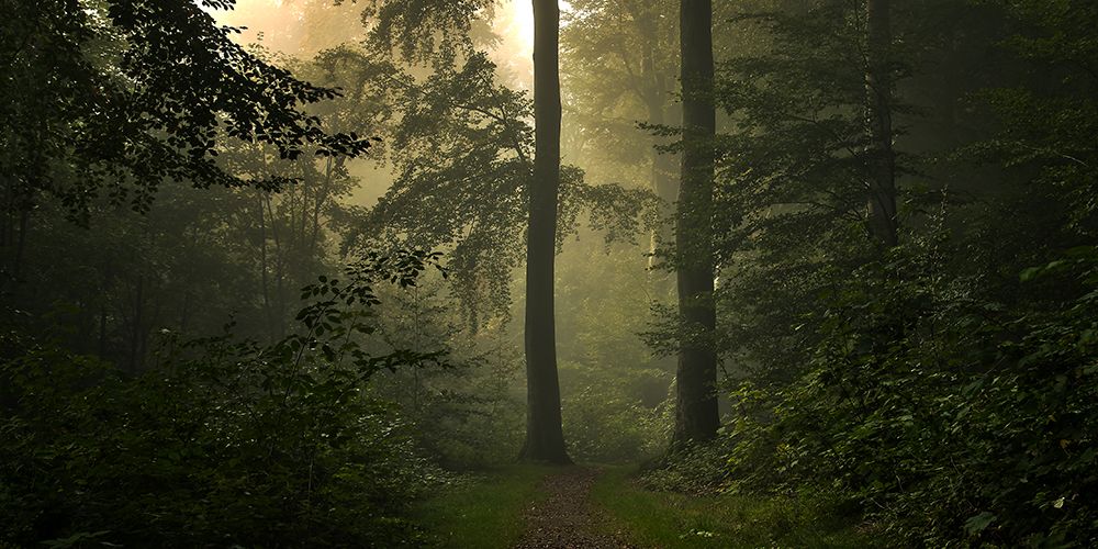 The Entrance. art print by Leif Londal for $57.95 CAD