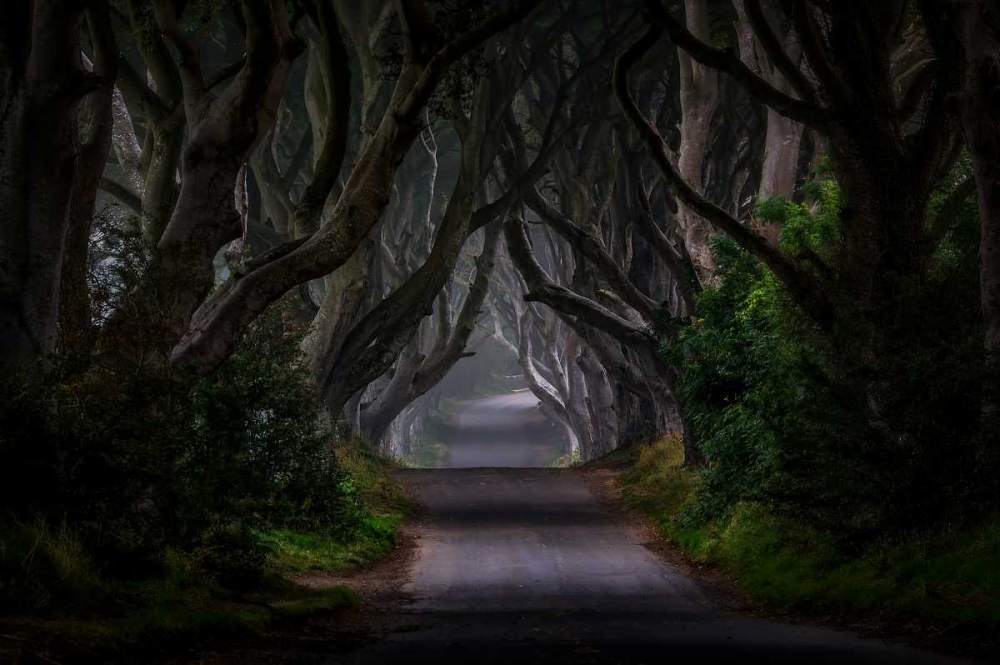 Magic Road art print by Piotr Galus for $57.95 CAD