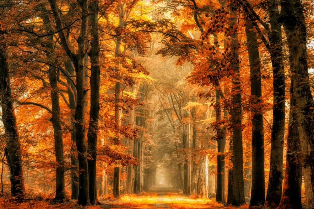 Exit The Portal art print by Lars Van De for $57.95 CAD