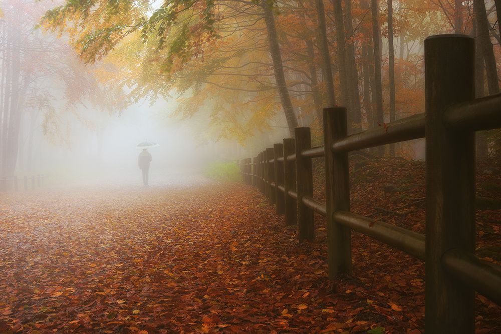 My Way To Autumn art print by Paolo Lazzarotti for $57.95 CAD