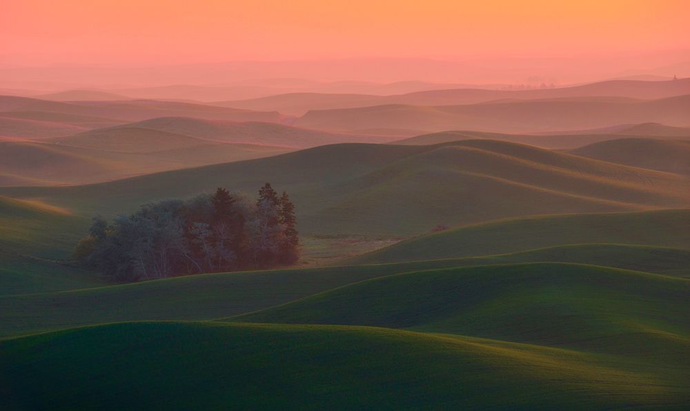 At Dawn art print by Naphat Chantaravisoot for $57.95 CAD