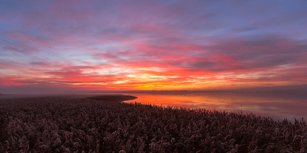 Love a morning like this.... art print by Leif Londal for $57.95 CAD