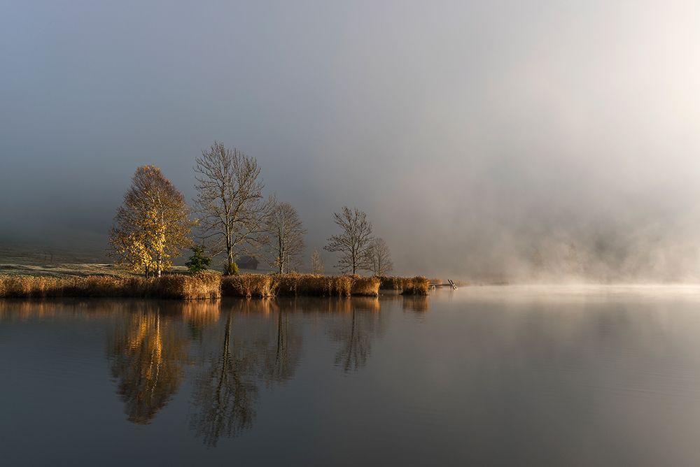 Foggy Morning art print by Tom Meier for $57.95 CAD