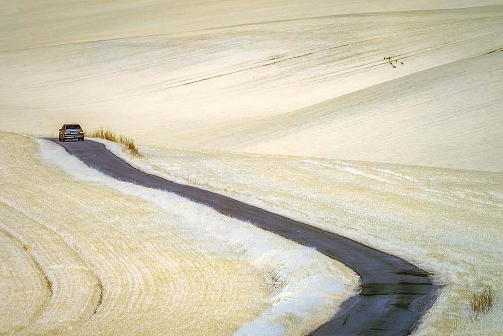 white art print by Piotr Krol for $57.95 CAD