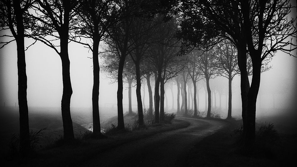 My way home art print by Jacob Tuinenga for $57.95 CAD