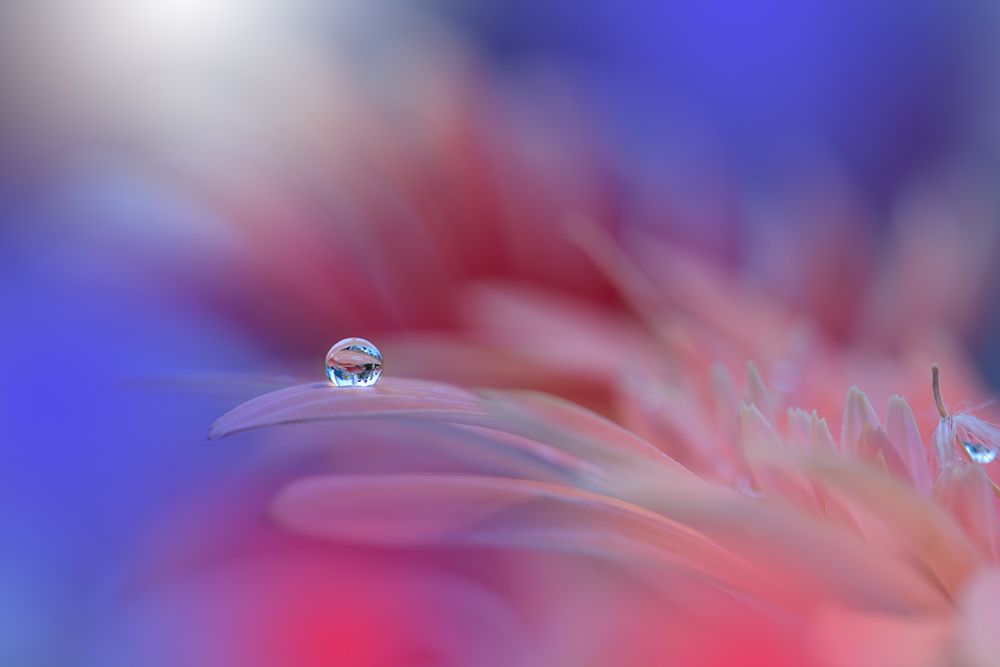Colorful Explosion... art print by Juliana Nan for $57.95 CAD