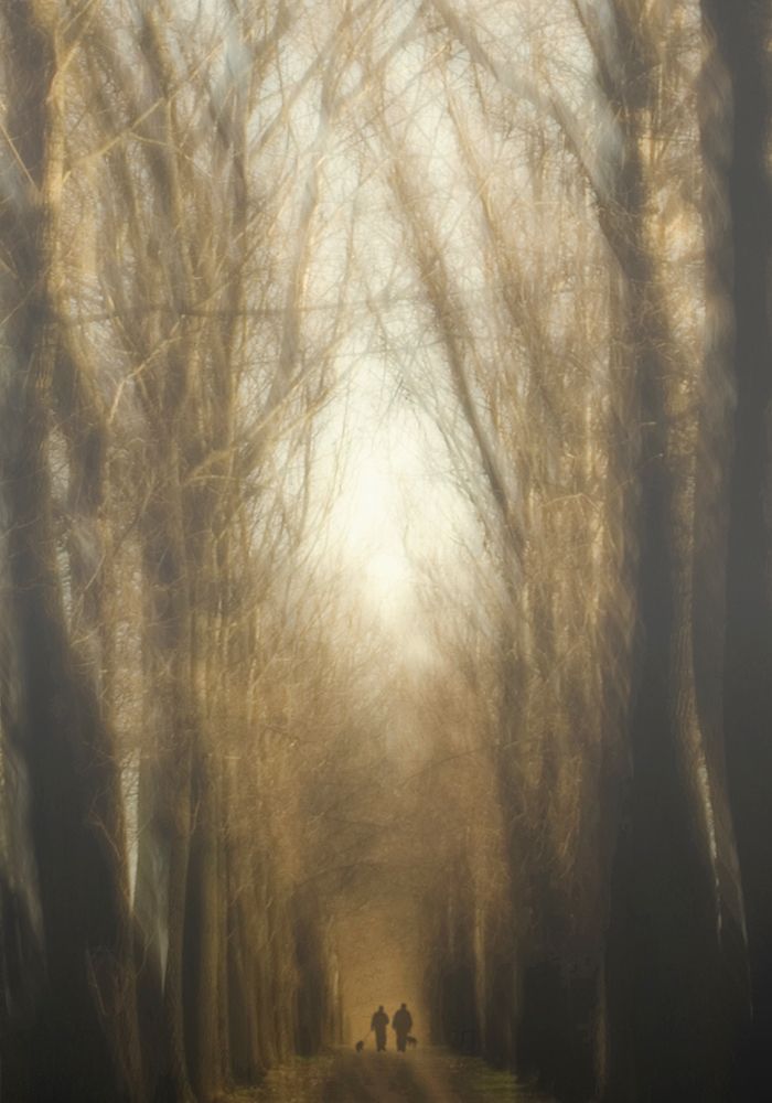 Dream Lane art print by Yvette Depaepe for $57.95 CAD