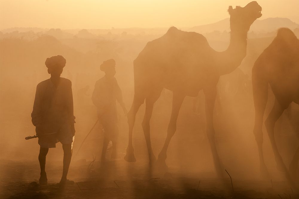 rajasthani shepherds art print by Pavol Stranak for $57.95 CAD