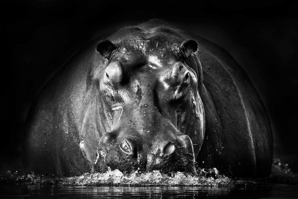 Power art print by Gorazd Golob for $57.95 CAD