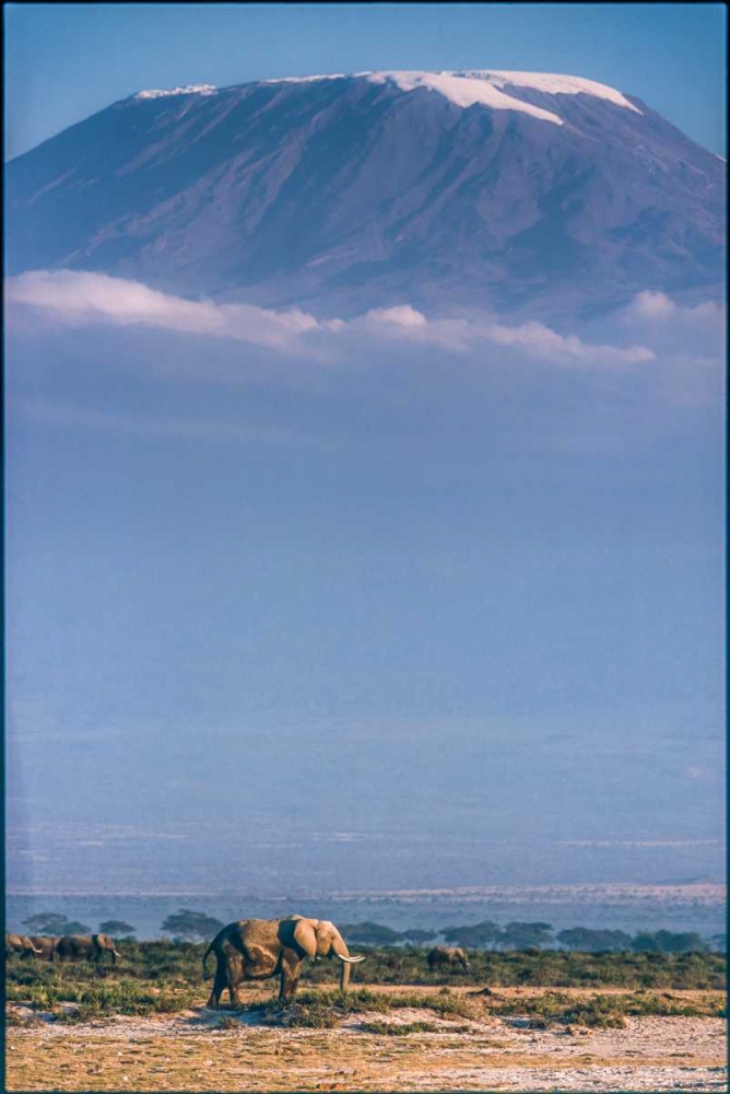 Kilimanjaro And The Quiet Sentinels art print by Jeffrey C. Sink for $57.95 CAD