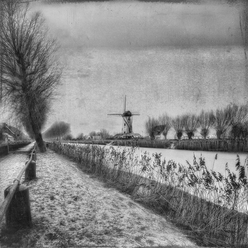 My beloved flat country: Damme art print by Yvette Depaepe for $57.95 CAD
