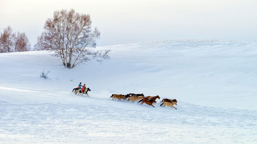 Racing on snow art print by Hua Zhu for $57.95 CAD