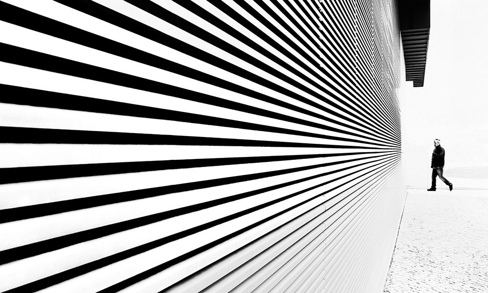 Thingy Wingy art print by Paulo Abrantes for $57.95 CAD