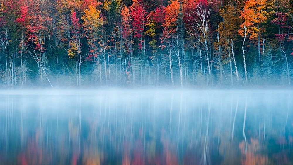 Morning Reflection art print by John Fan for $57.95 CAD