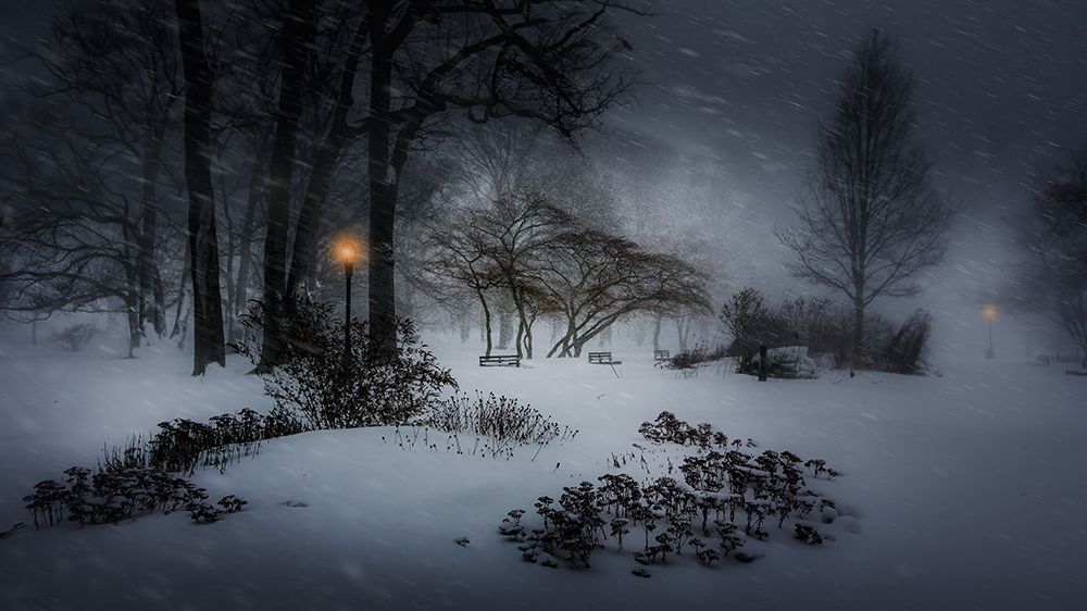 Winter Storm Jonas art print by Yi Liang for $57.95 CAD