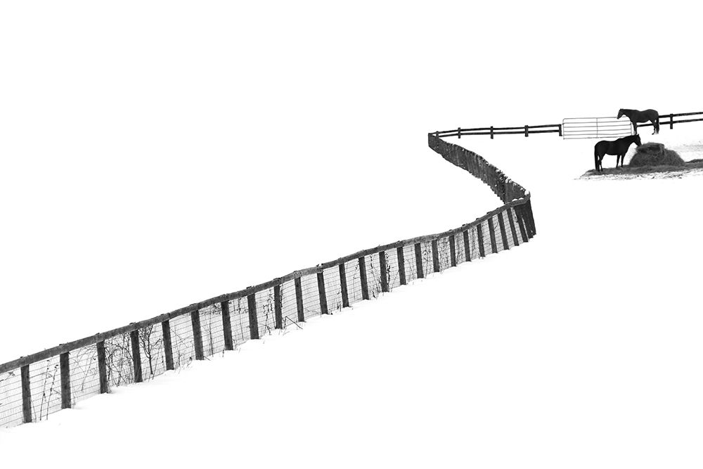 S Fence art print by Ivan Huang for $57.95 CAD