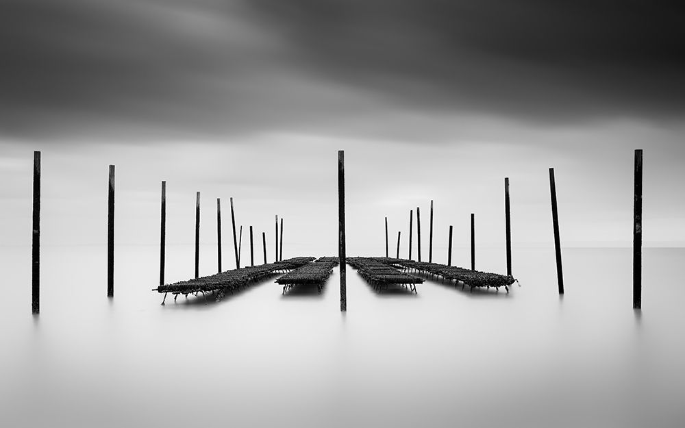 The Oyster Bar art print by Christophe Staelens for $57.95 CAD