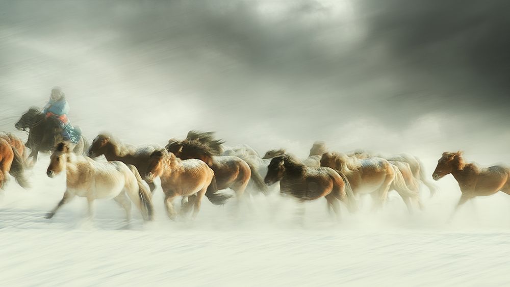 Horses gallop art print by Shu-Guang Yang for $57.95 CAD