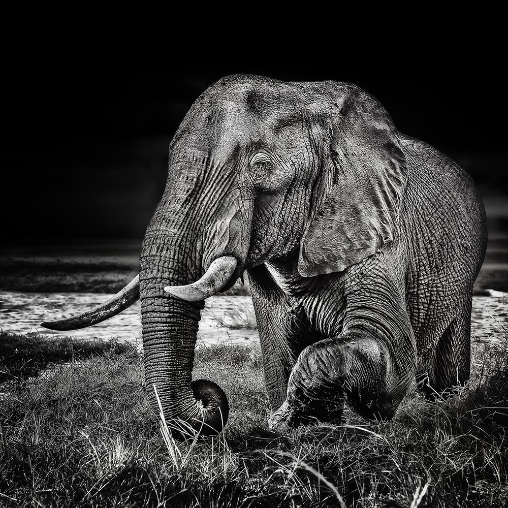 sunset at the waterhole art print by Piet Flour for $57.95 CAD