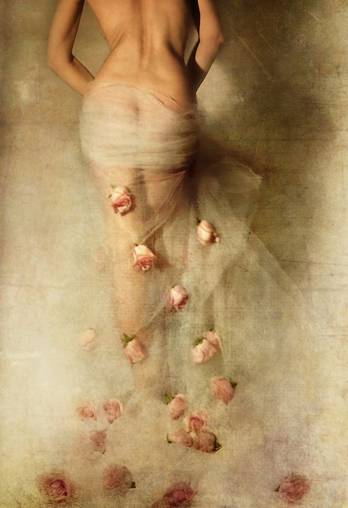 My rose garden ll art print by miriana for $57.95 CAD