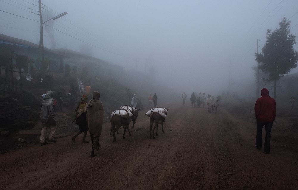 Fog in a village in the highlands of Ethiopia. art print by Joxe Inazio Kuesta for $57.95 CAD