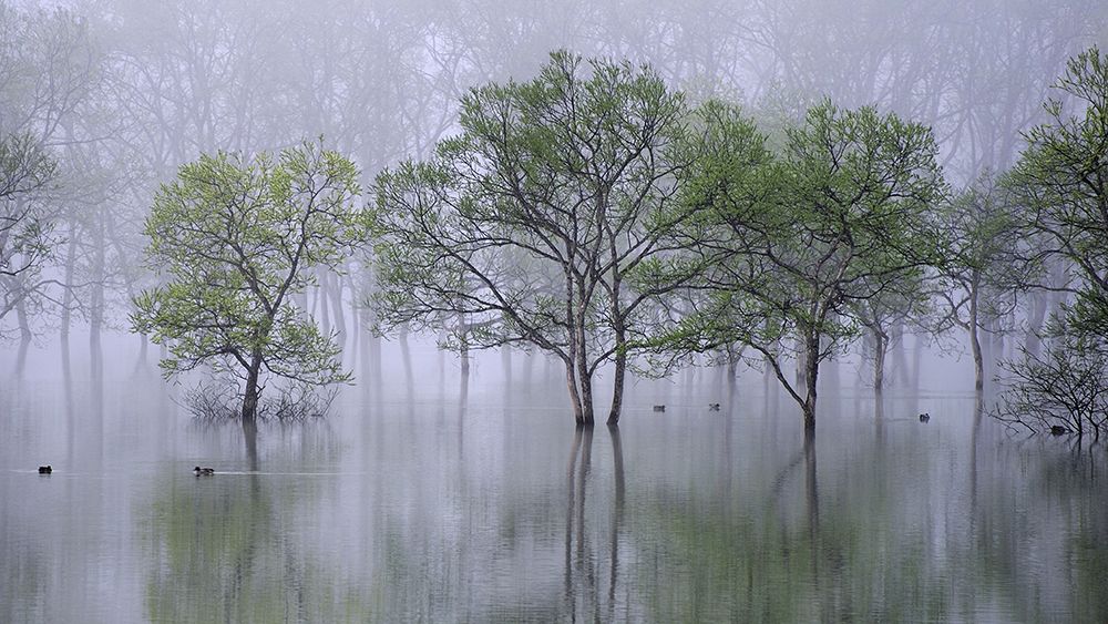 Beautiful morning art print by Teruo Araya for $57.95 CAD