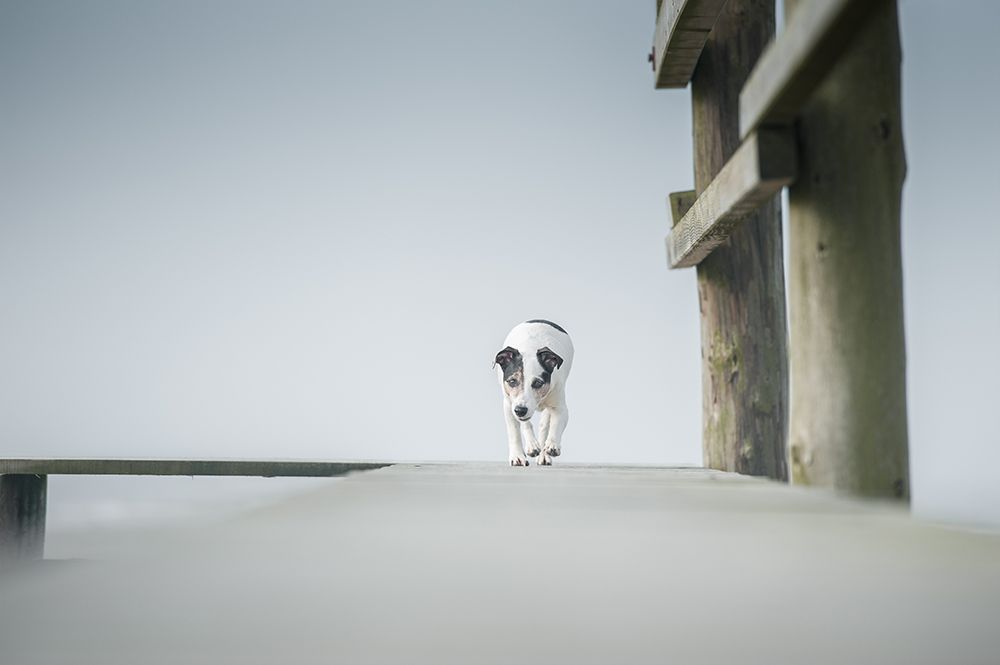 A day at Seaside art print by Heike Willers for $57.95 CAD