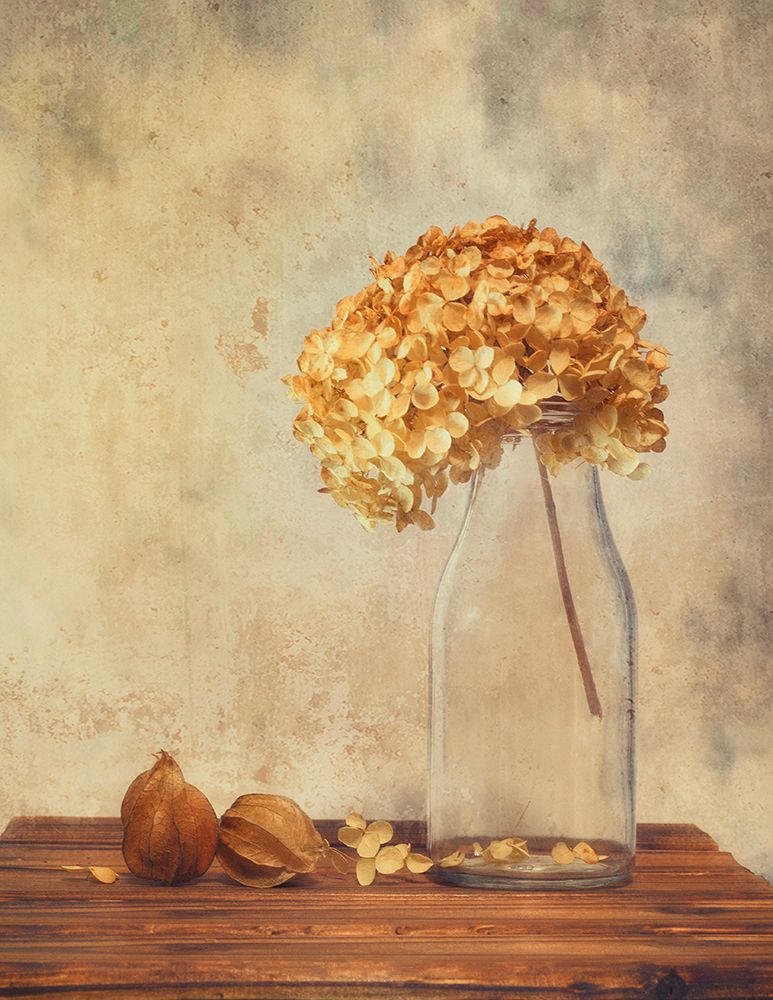 Warm Glow art print by Sophie Pan for $57.95 CAD