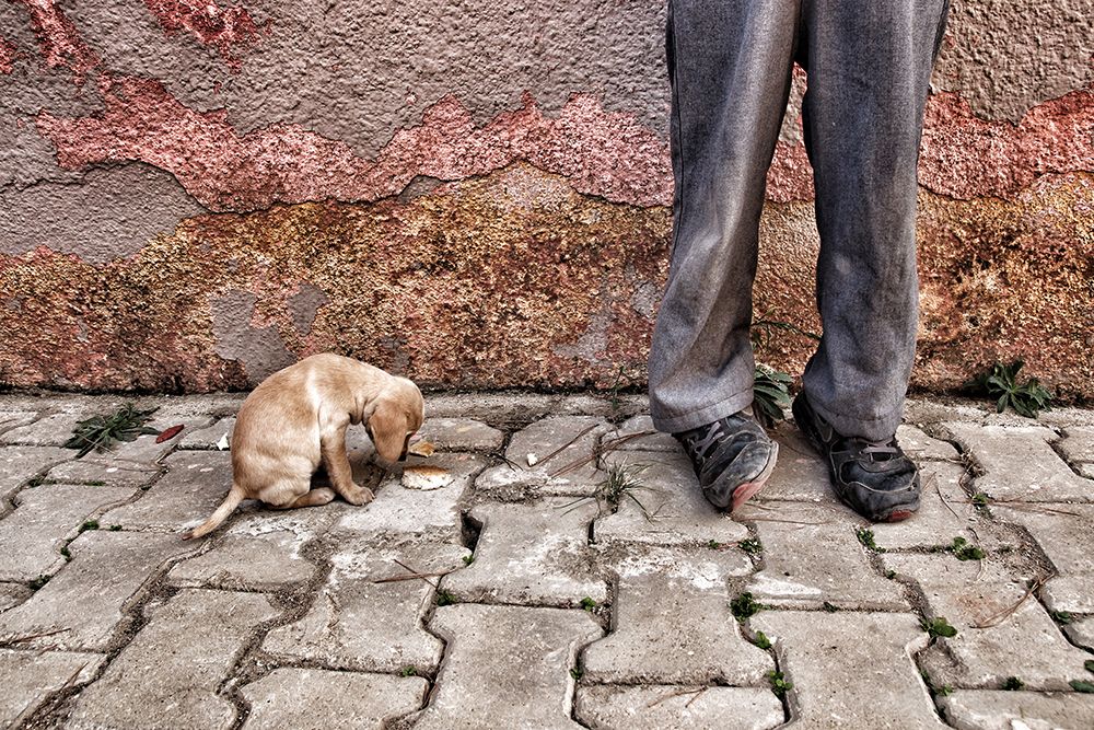 Ali and His Dog art print by Ali Ayer for $57.95 CAD
