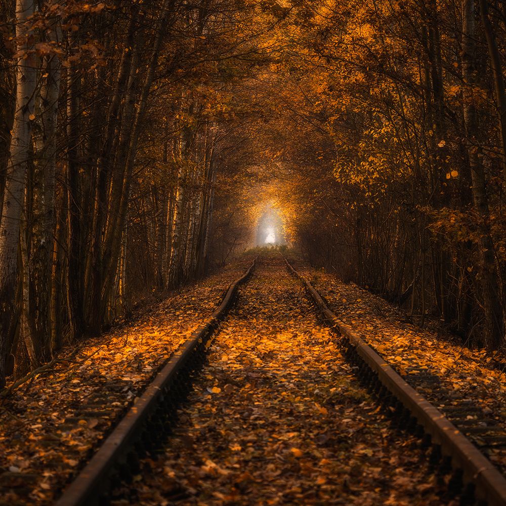 Autumn Tunnel art print by Pawel Uchorczak for $57.95 CAD