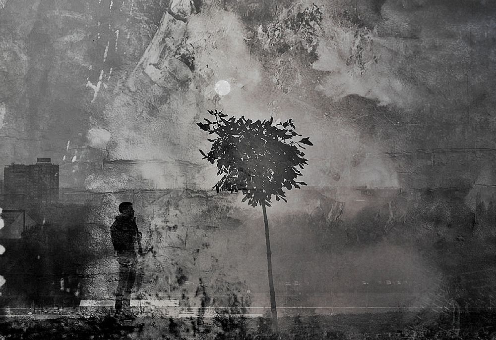shadows (splitting) art print by Dalibor Davidovic for $57.95 CAD