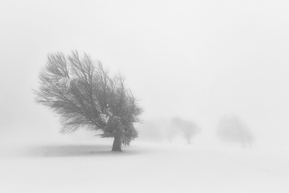 alone art print by fotoea for $57.95 CAD