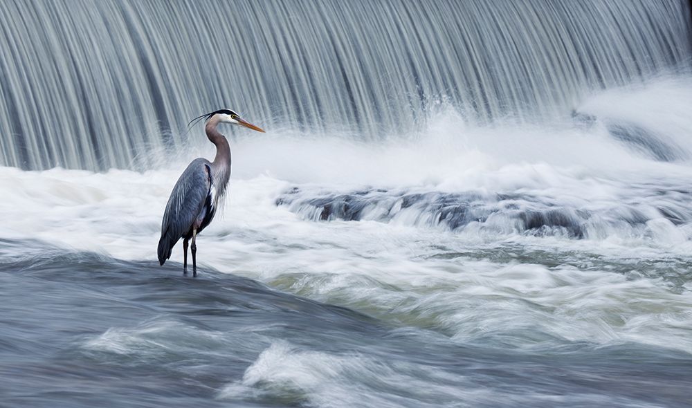 Solitude in stormy waters art print by Mircea Costina for $57.95 CAD