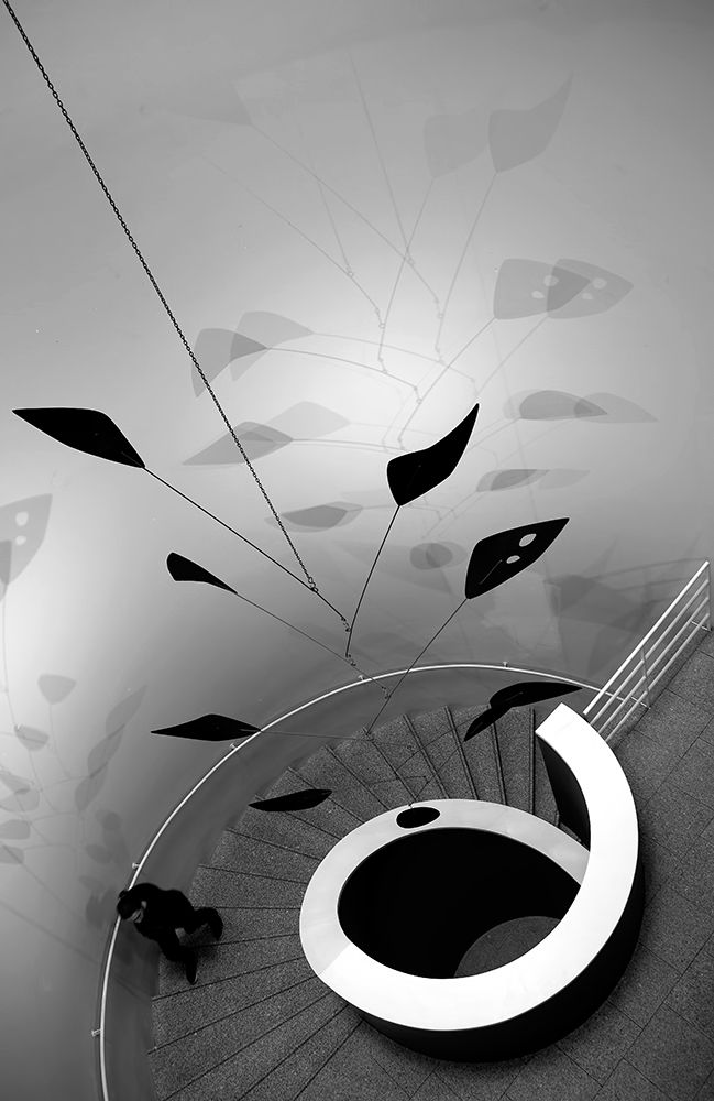 Up in haste art print by Fernando Alves for $57.95 CAD