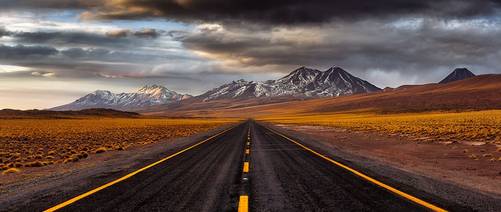 Yellow Road art print by Adhemar Duro for $57.95 CAD