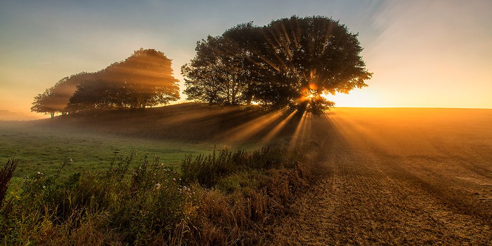 Sunbeams art print by Leif Londal for $57.95 CAD