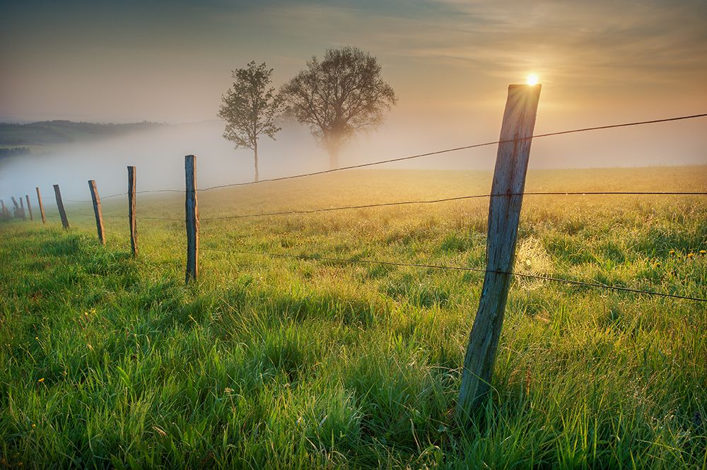 morning sun art print by Burger Jochen for $57.95 CAD