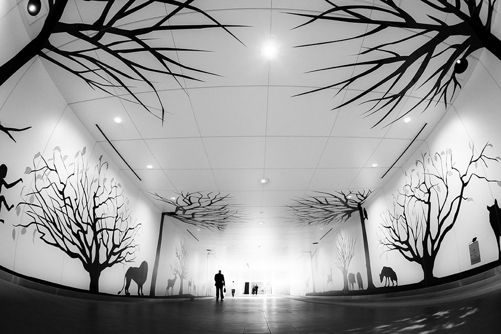 Urban forest road art print by Tetsuya Hashimoto for $57.95 CAD