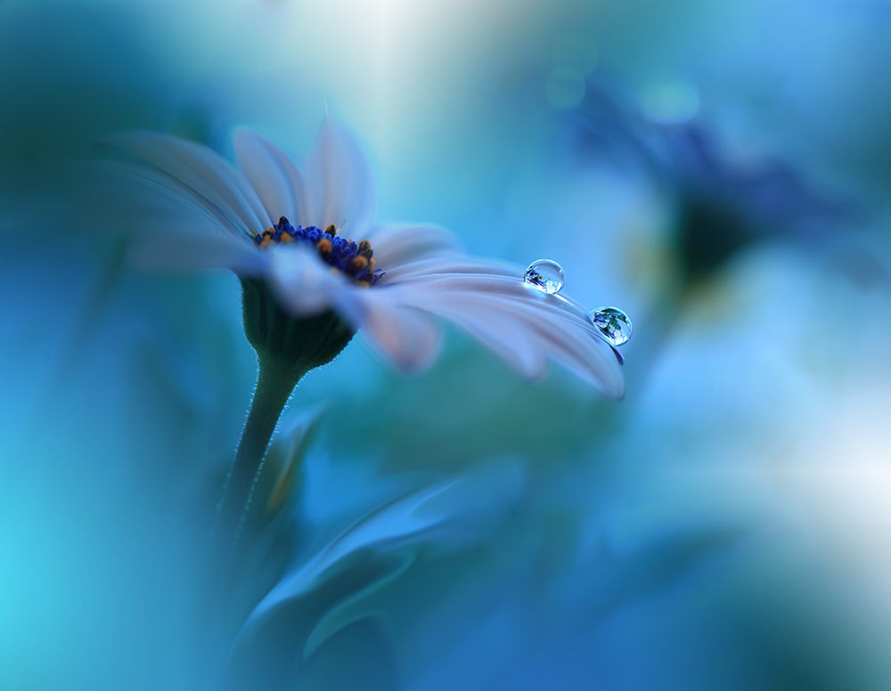 Beyond The Visible... art print by Juliana Nan for $57.95 CAD