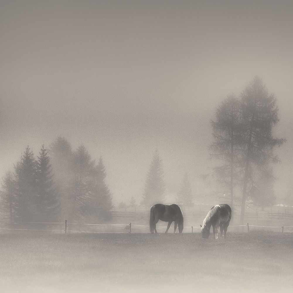 timeless moments art print by Swapnil for $57.95 CAD
