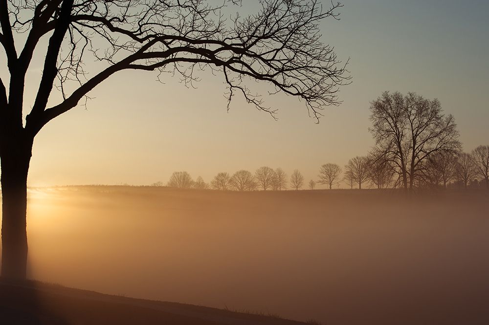 Sunrise In Valley Forge National Park art print by Austin for $57.95 CAD