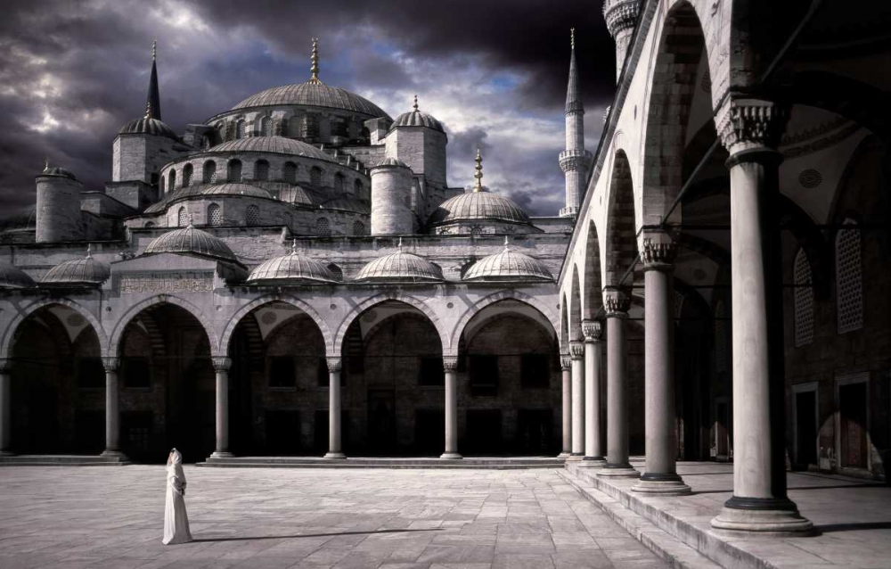 Lady And The Mosque art print by Daniel Murphy for $57.95 CAD