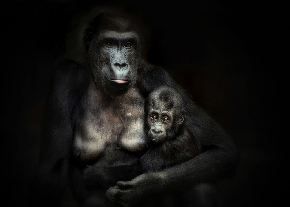 MOTHERHOOD .... art print by Antje Wenner-Braun for $57.95 CAD