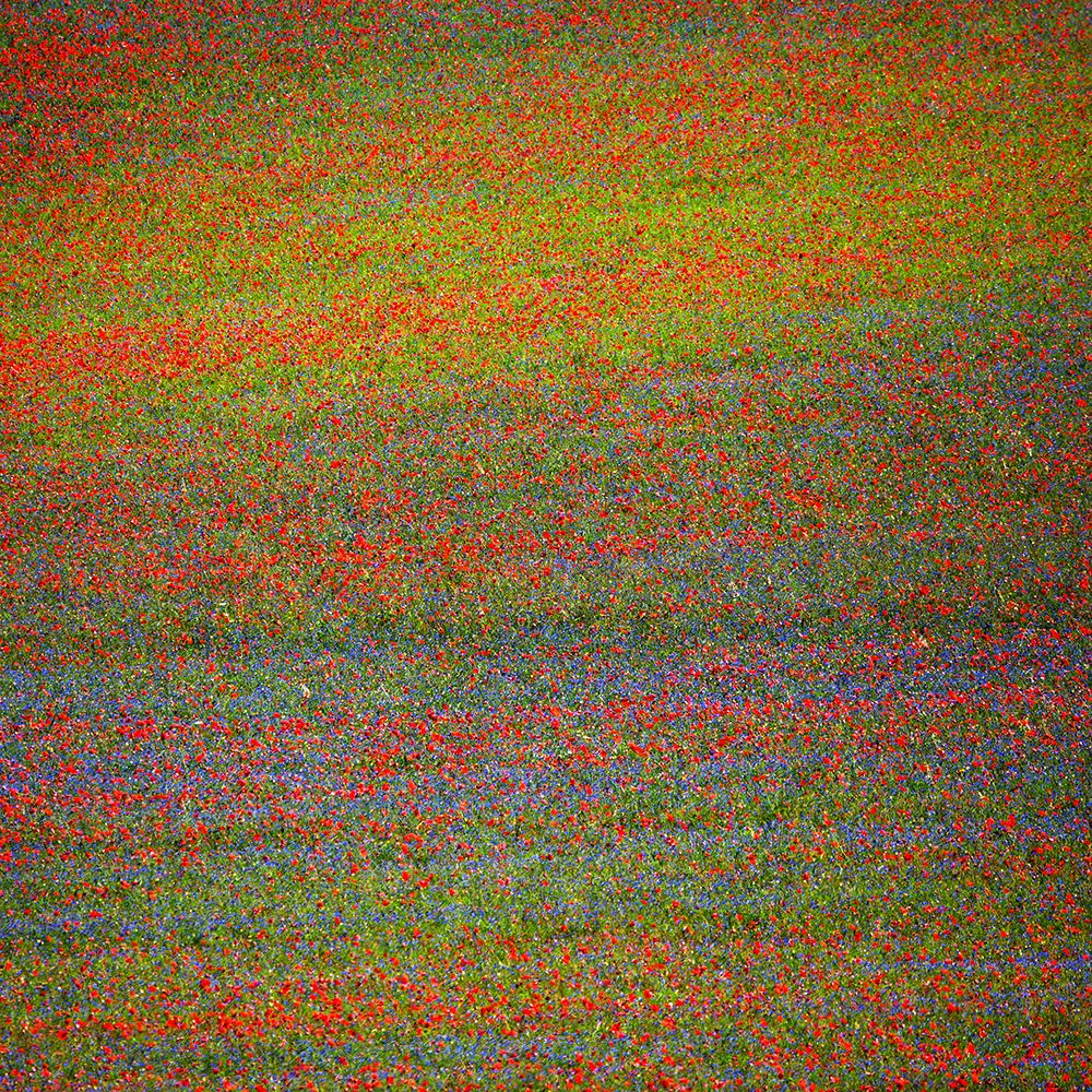 Castelluccio 6 art print by Massimo Della Latta for $57.95 CAD