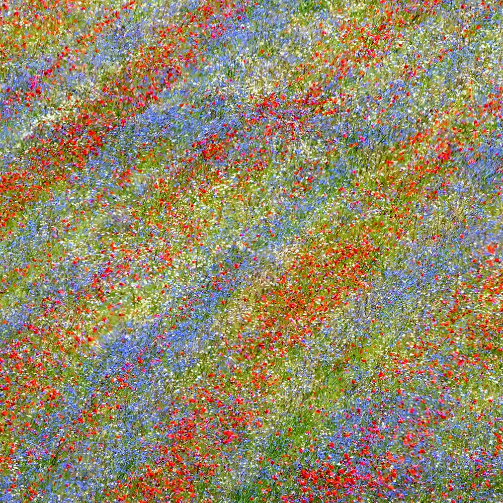 Castelluccio 2 art print by Massimo Della Latta for $57.95 CAD
