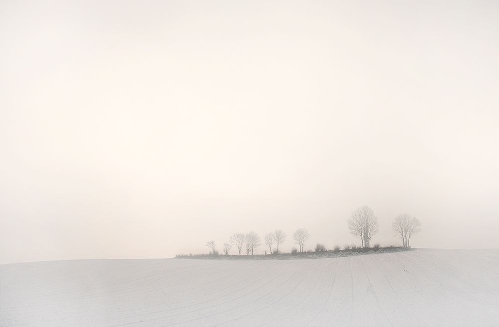 The softness of a winter morning art print by Lou Urlings for $57.95 CAD